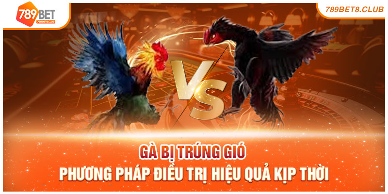 Gà Bị Trúng Gió - Phương Pháp Điều Trị Hiệu Quả Kịp Thời