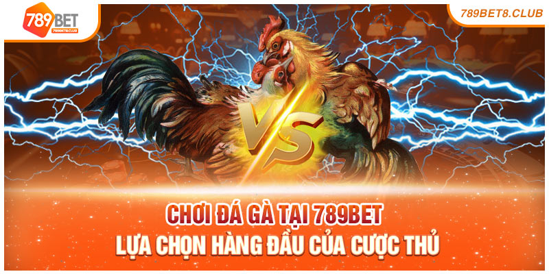 Chơi Đá Gà Tại 789bet Lựa Chọn Hàng Đầu Của Cược Thủ